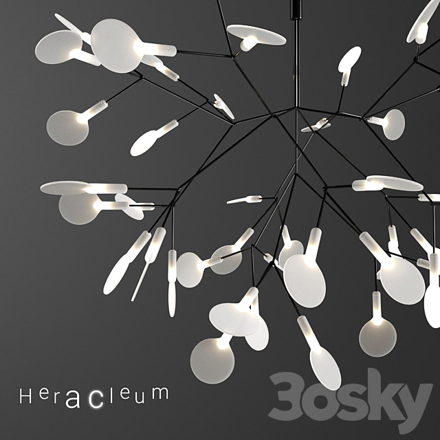 3d model