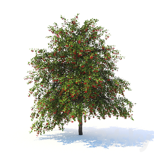 3d model