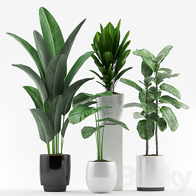 3d model