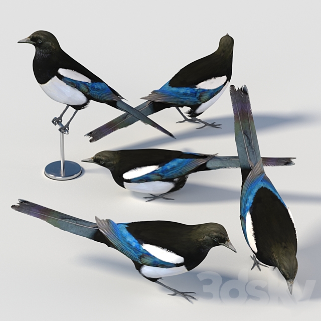 3d model