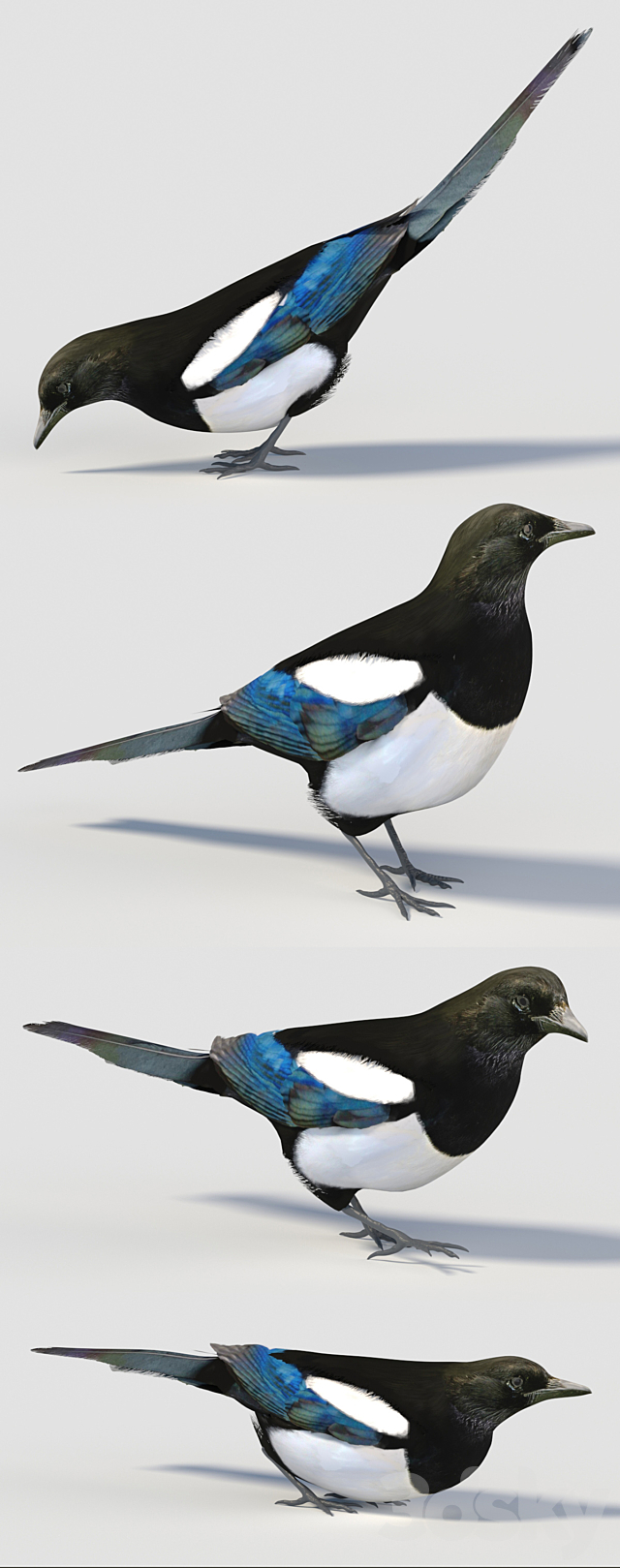 3dsky Free Download