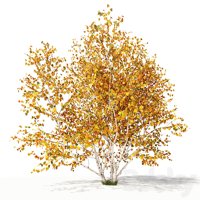 3d model