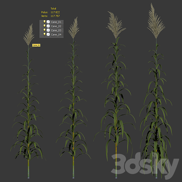 3dsky Free Download