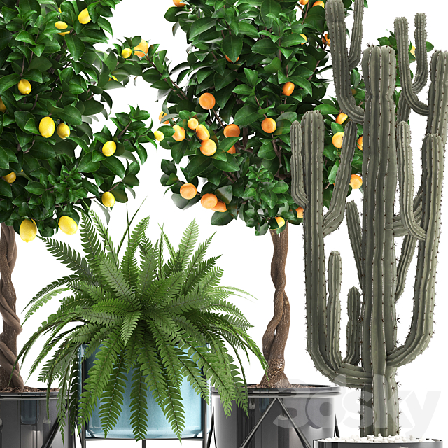 3d model