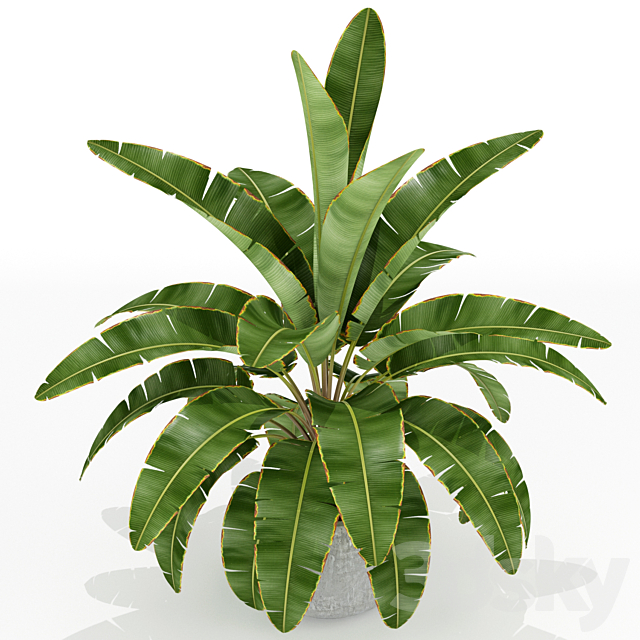 3d model