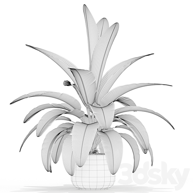3dsky Free Download