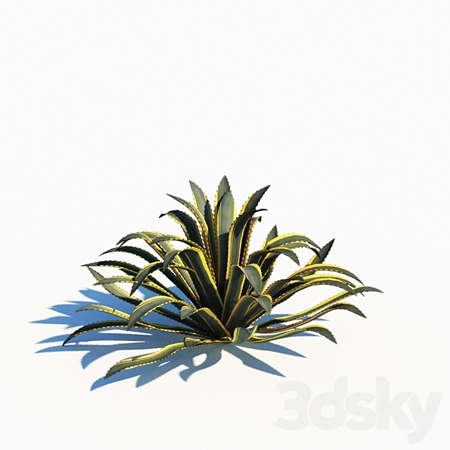 3d model