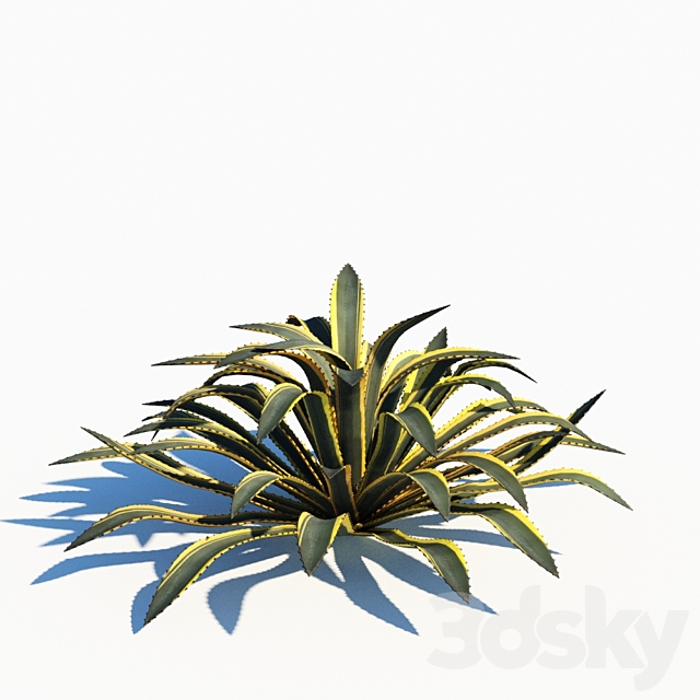 3dsky Free Download