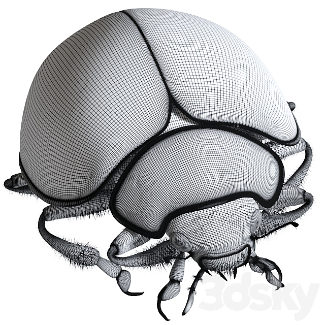 3dsky Free Download