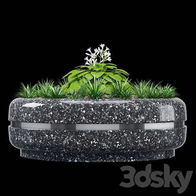 3d model
