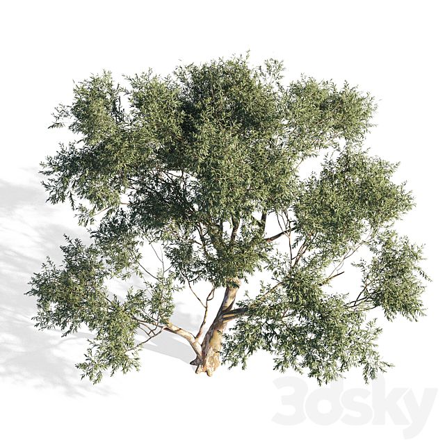 3d model
