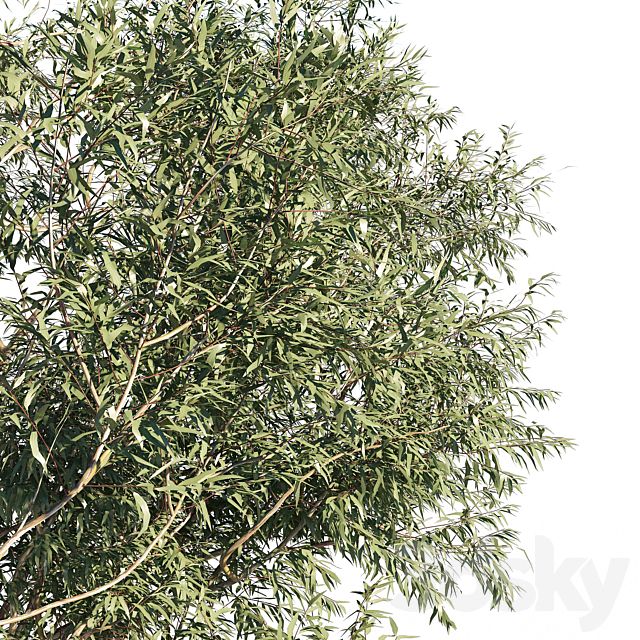 3dsky Free Download