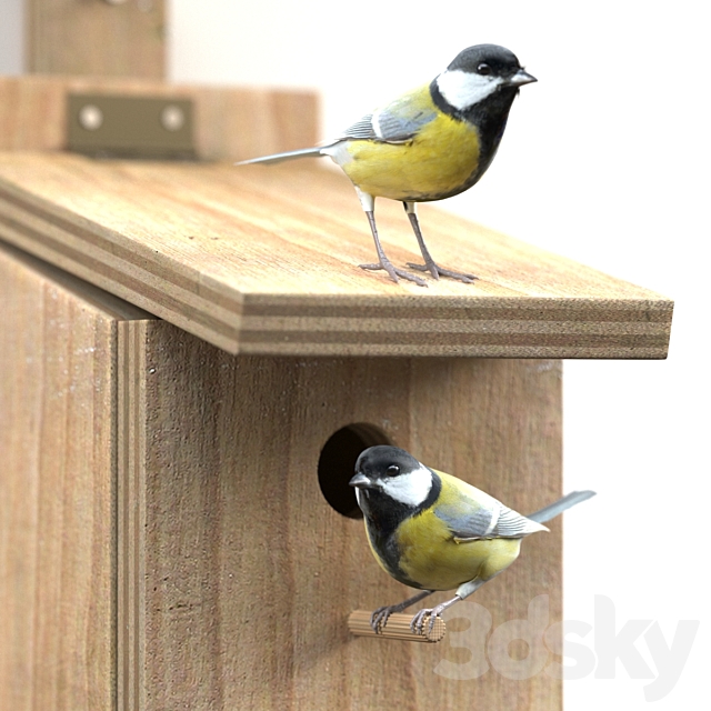 3d model