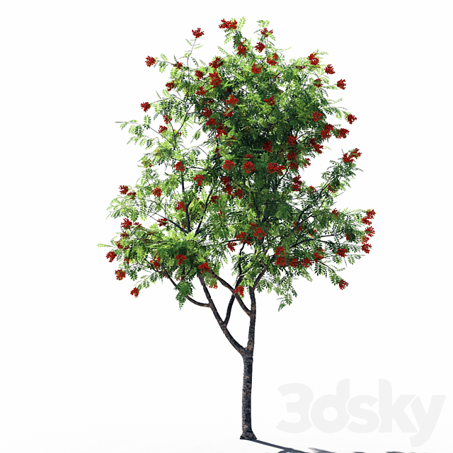 3d model
