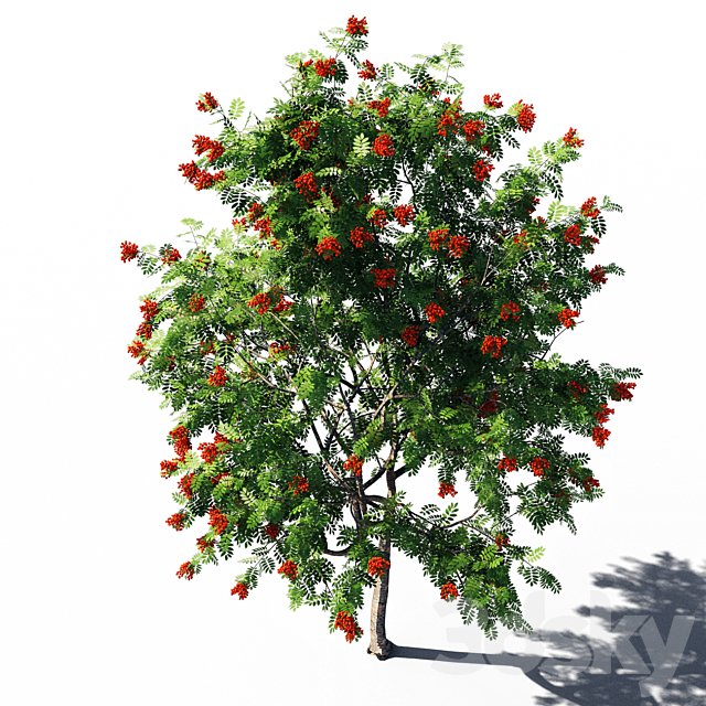 3dsky Free Download