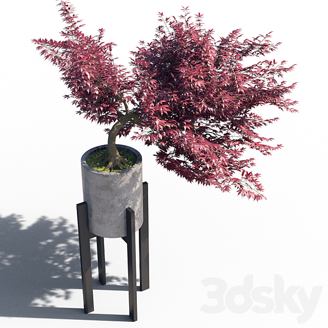 3d model