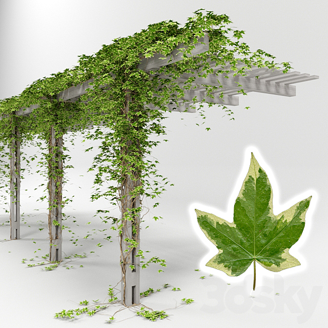 3dsky Free Download