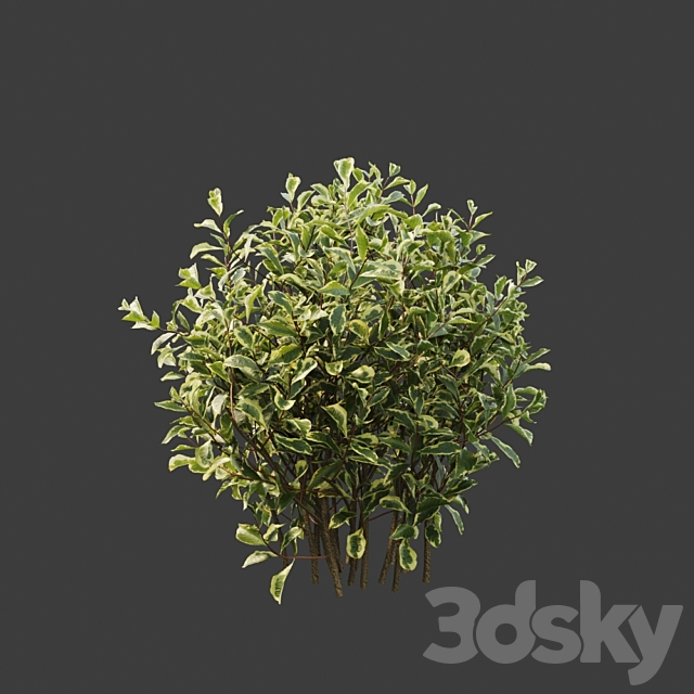3d model