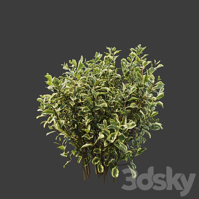 3dsky Free Download