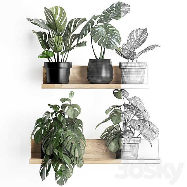 3dsky Free Download