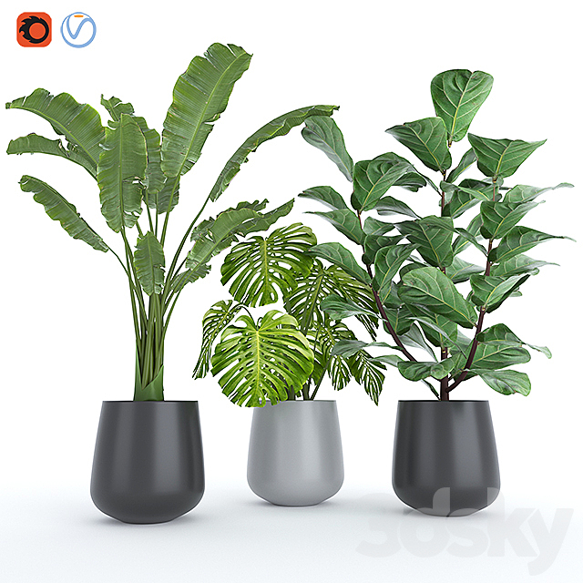 3d model