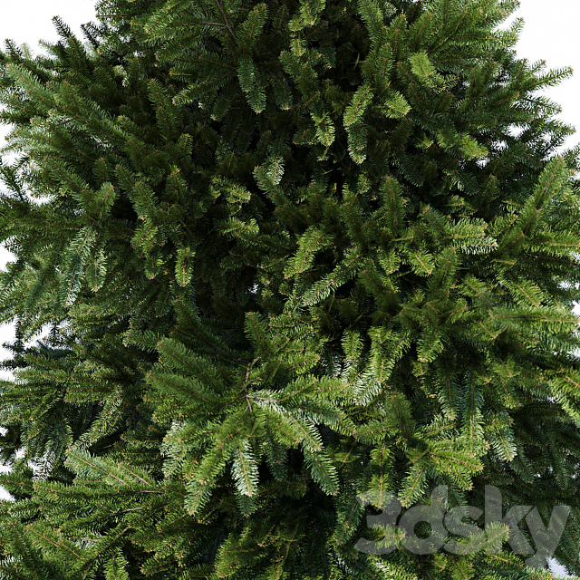 3dsky Free Download
