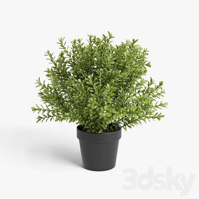 plants set 3ds Max - thumbnail 2