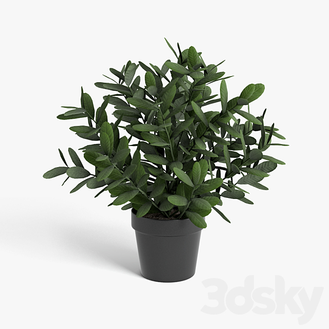 plants set 3ds Max - thumbnail 3