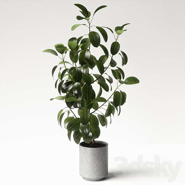 3d model