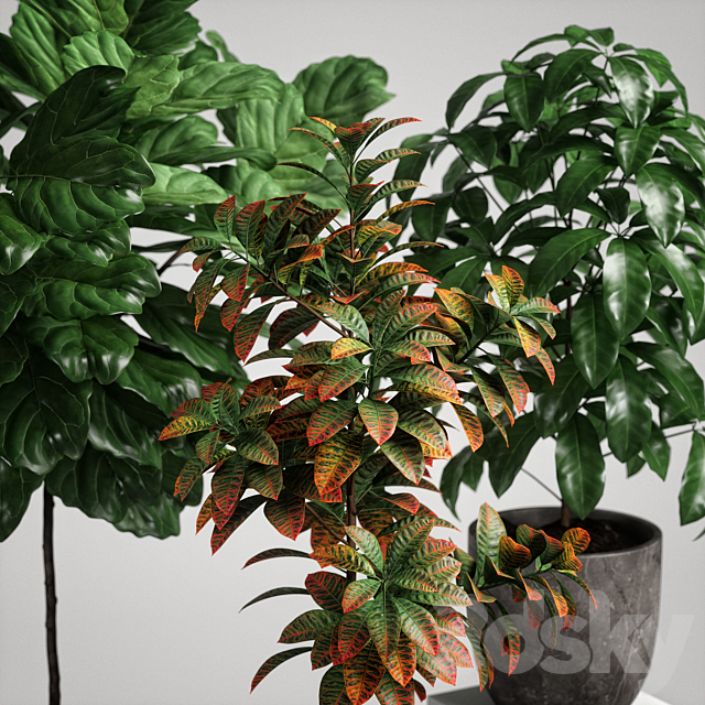 3dsky Free Download