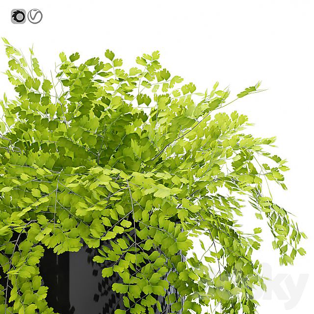 3dsky Free Download