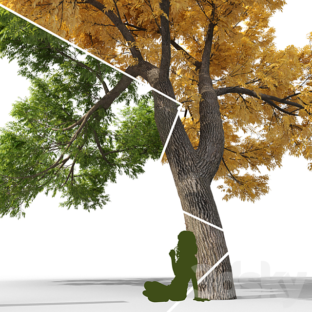 3dsky Free Download