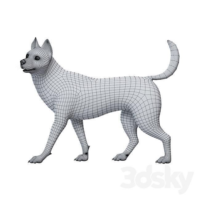 3d model