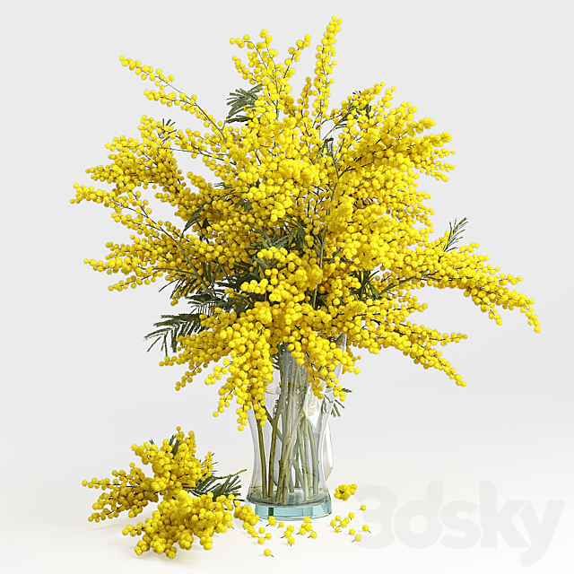 3dsky Free Download