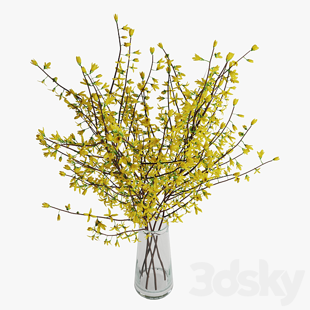 3dsky Free Download