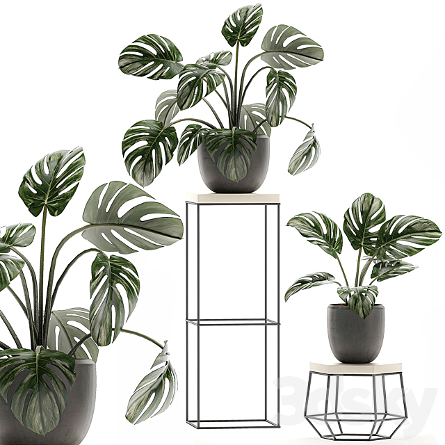 3d model