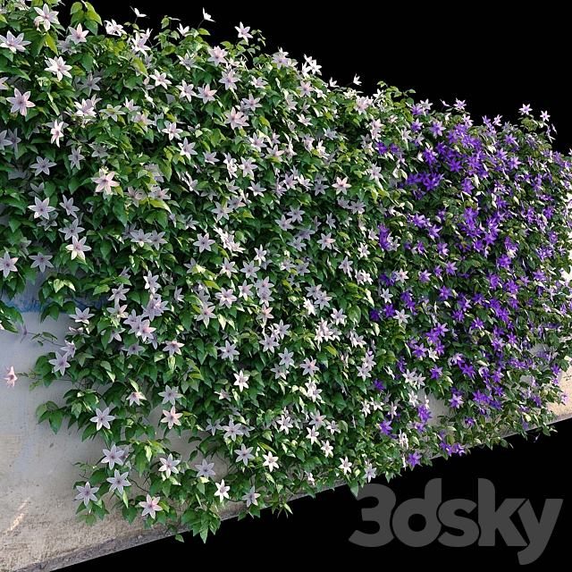3d model