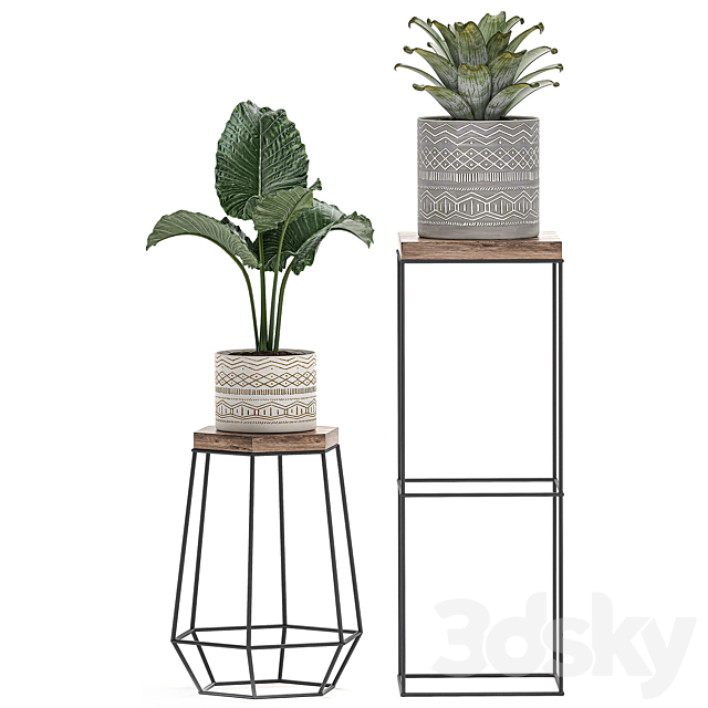 3d model