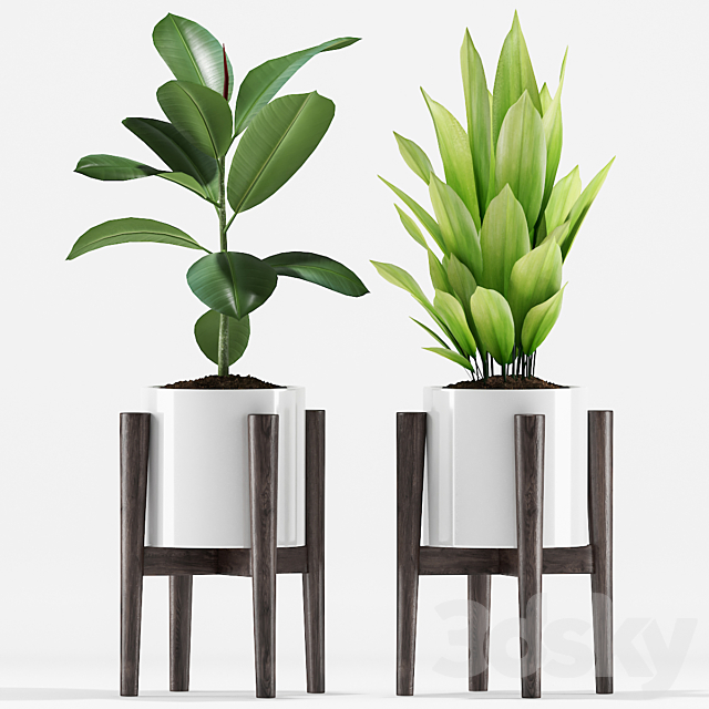 3d model