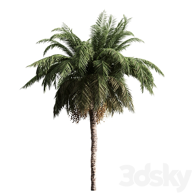 3d model