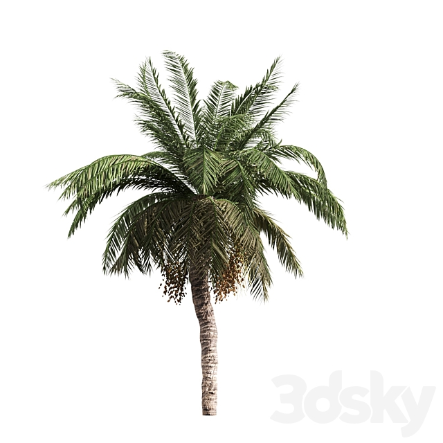 3dsky Free Download
