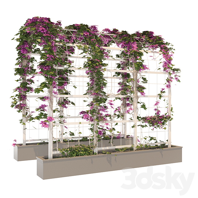 3dsky Free Download