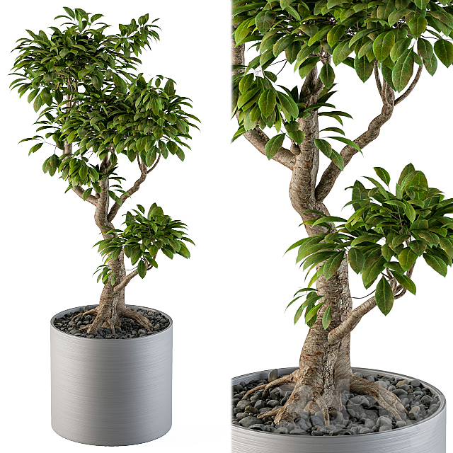 3d model