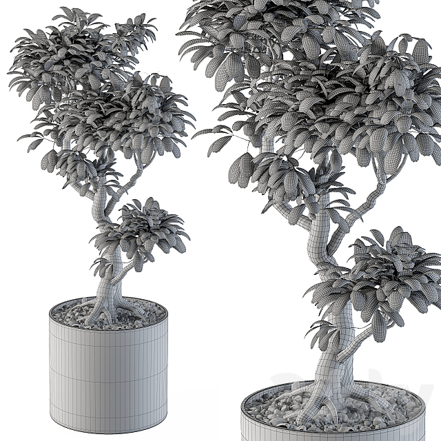 3dsky Free Download