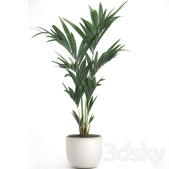 3d model