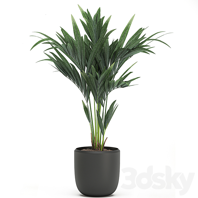 3dsky Free Download