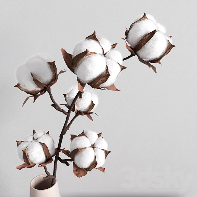 3d model