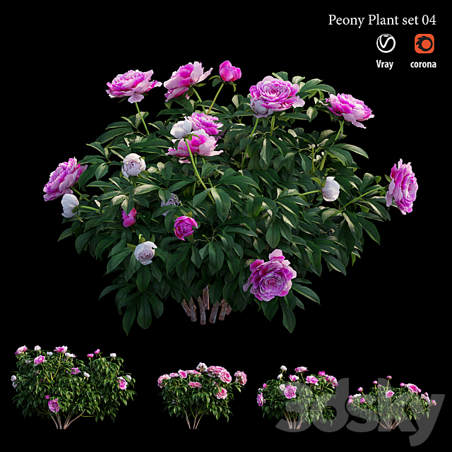 3dsky Free Download