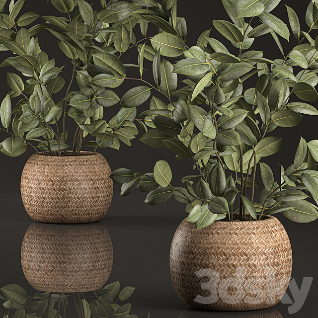 3d model