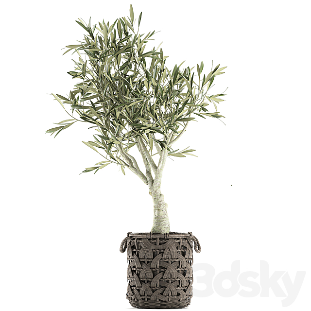 3d model